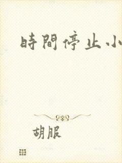 时间停止小说