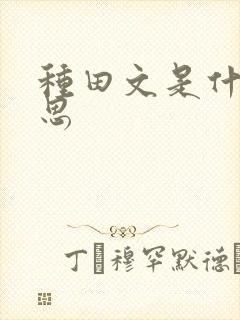 种田文是什么意思
