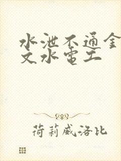 水泄不通金银原文水电工