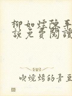 柳如烟陈平安小说免费阅读全文