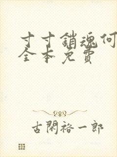 寸寸销魂何生祥全本免费