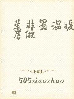 叶非墨温暖在厨房做