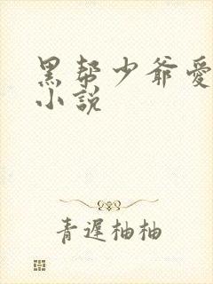 黑帮少爷爱上我小说