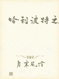 哈利波特之守护