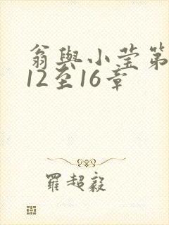 翁与小莹第十部12至16章