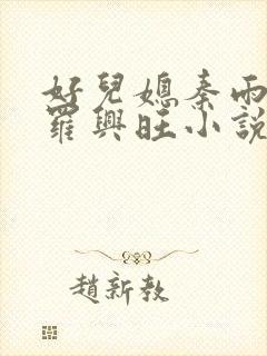 好儿媳秦雨罗明罗兴旺小说