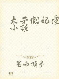 太子侧妃傻乎乎小说