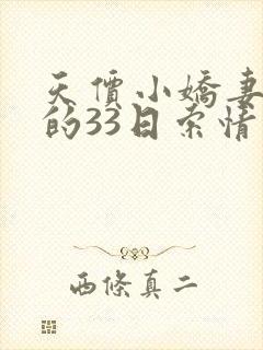 天价小娇妻总裁的33日索情