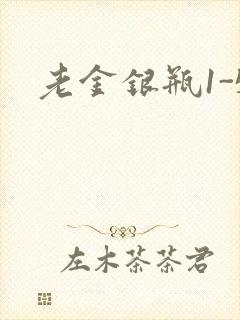 老金银瓶1-5