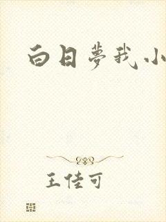 白日梦我小说