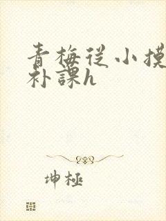 青梅从小摸到大补课h
