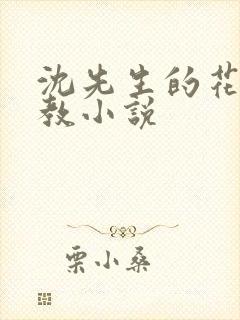 沈先生的花式调教小说