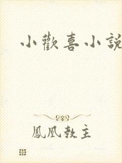 小欢喜小说