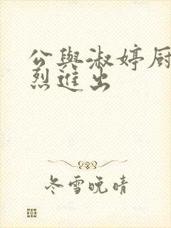 公与淑婷厨房猛烈进出