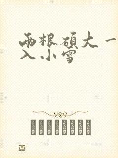 两根硕大一起挤入小雪