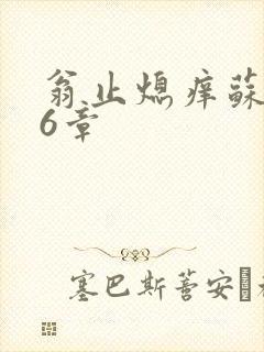 翁止熄痒苏玥第6章