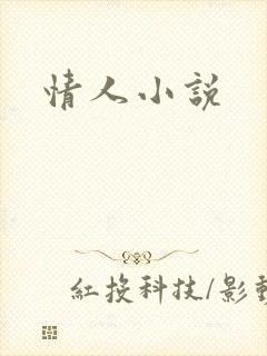 情人小说