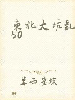 东北大坑乱1—50