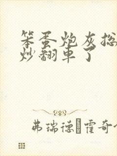 笨蛋炮灰总被爆炒翻车了