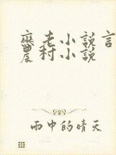 恋老小说言情网农村小说