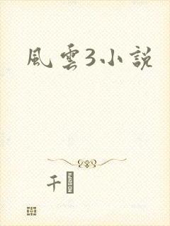 风云3小说