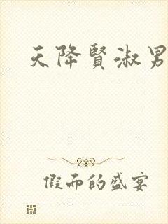 天降贤淑男小说