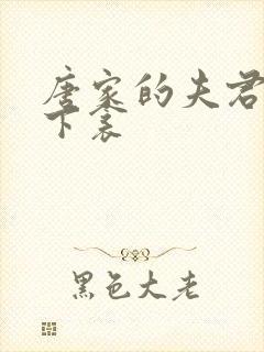 唐家的夫君们帘下衾