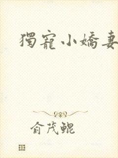 独宠小娇妻
