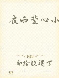 夜雨莹心小说