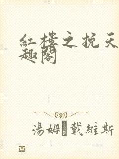 红楼之挽天倾笔趣阁