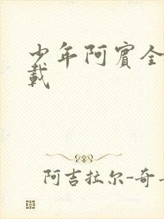 少年阿宾全集下载