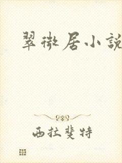 翠微居小说