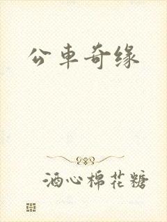 公车奇缘