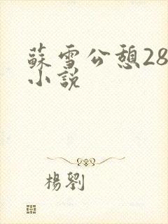 苏雪公憩28篇小说