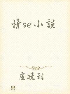 情se小说