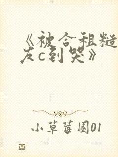 《被合租糙汉室友c到哭》