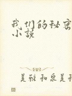 我们的秘密泰剧小说