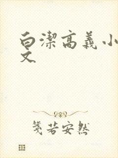 白洁高义小说全文