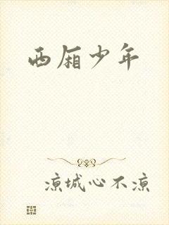 西厢少年