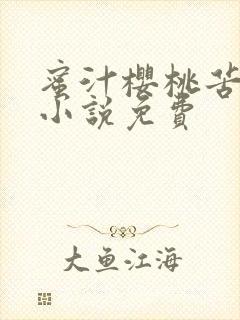 蜜汁樱桃苦咖啡小说免费