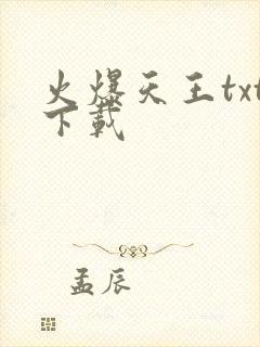 火爆天王txt下载
