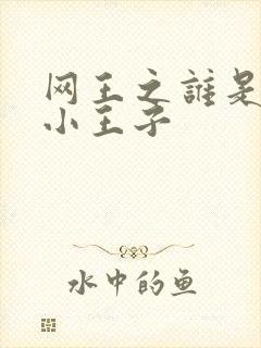 网王之谁是我的小王子
