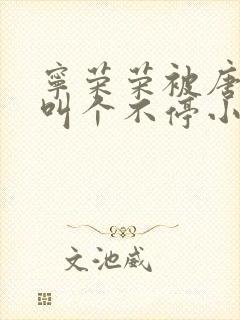 宁荣荣被唐三桶叫个不停小说