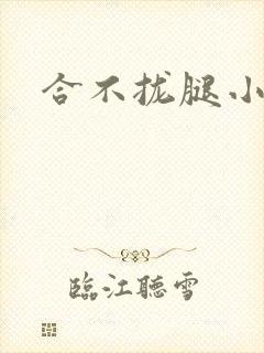 合不拢腿小说