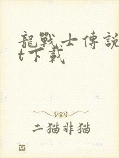 龙战士传说txt下载