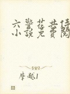 六警花共侍一夫小说免费阅读