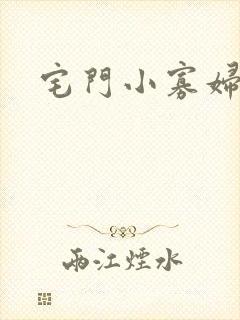 宅门小寡妇