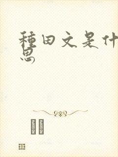 种田文是什么意思