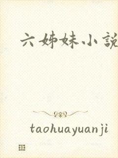 六姊妹小说