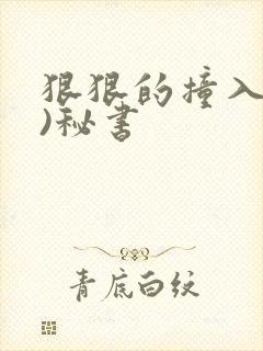 狠狠的撞入(h)秘书